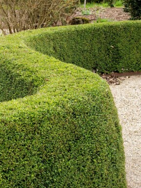 Kein Bild verfügbar