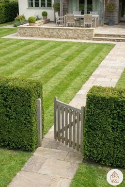 Taxus baccata 'Fastigiata Robusta' Strauch 20-30 cm C1