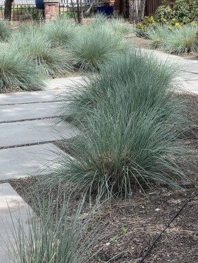 Kein Bild verfügbar