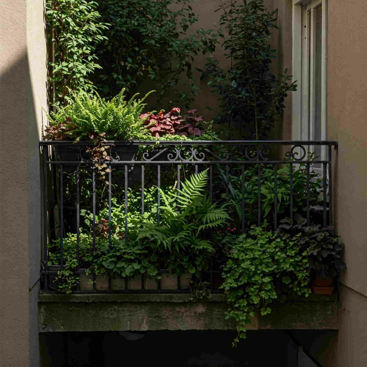 Kleiner Raum, große Wirkung: So gestalten Sie einen grünen Balkon image