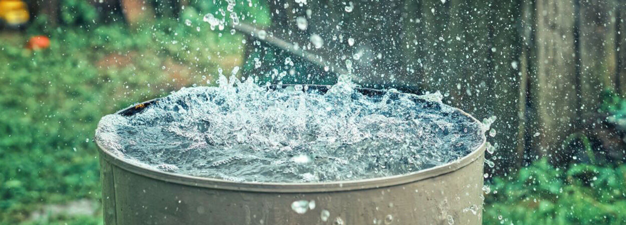 Begrenzen Sie Wasserschäden im Garten