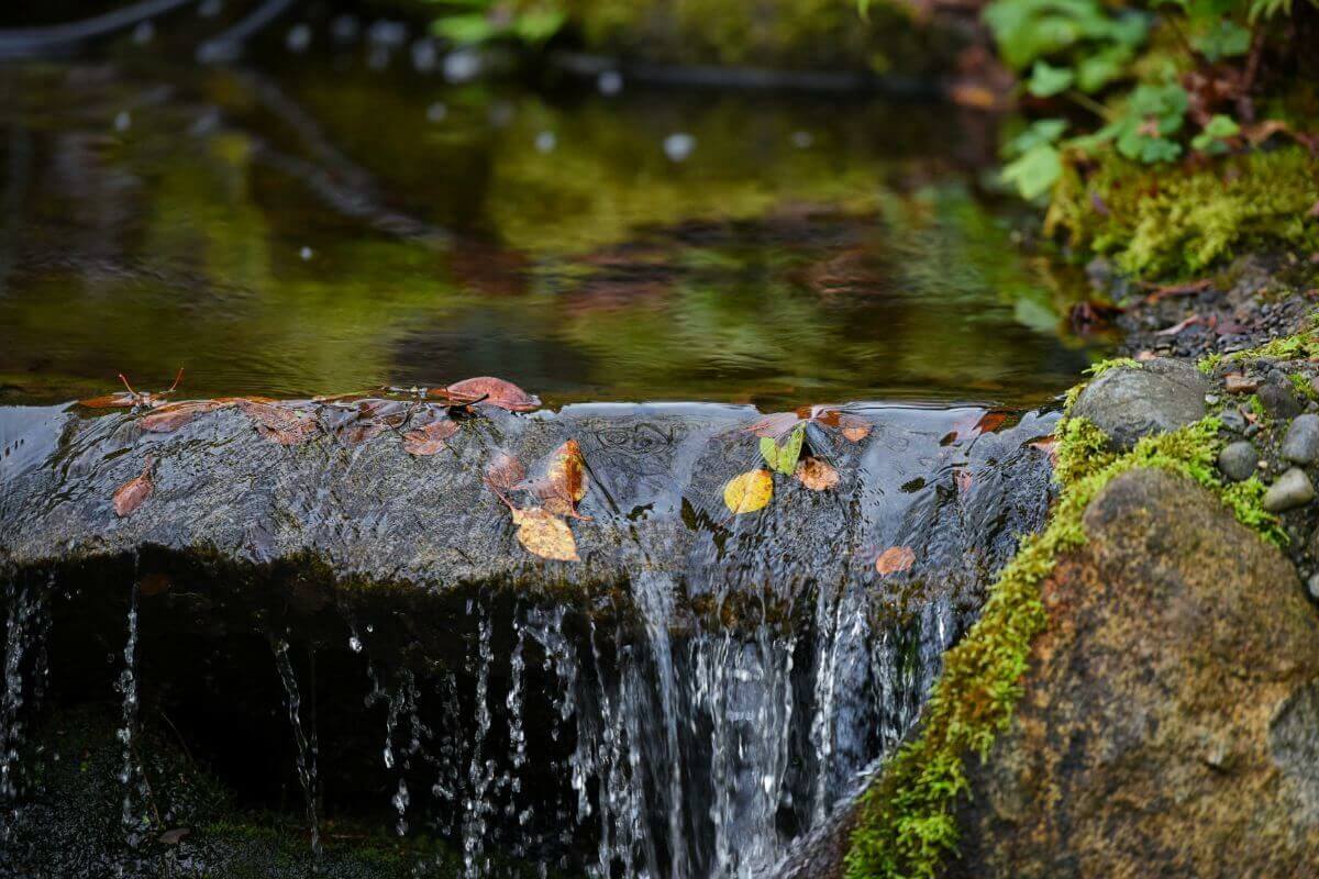 Machen Sie Ihren Garten im Herbst winterfest