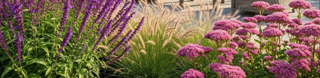Top 7 hitzebeständige Pflanzen für einen sonnigen Garten image