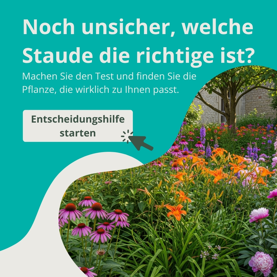 Entscheidungshilfe
