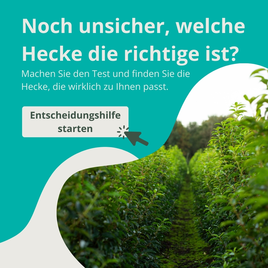 Entscheidungshilfe
