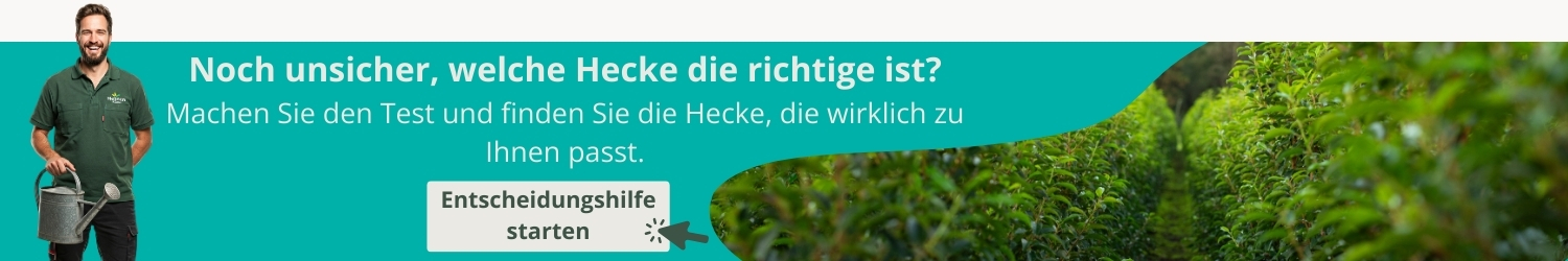 Entscheidungshilfe